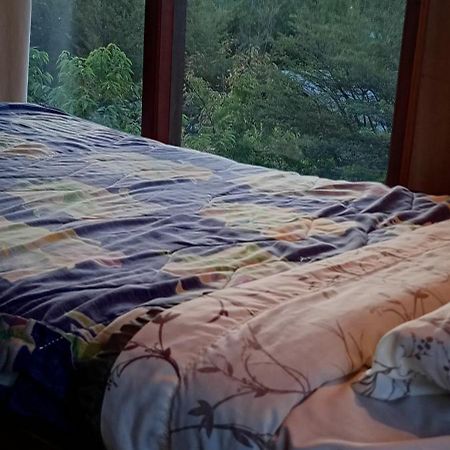 Hostal Quillelhue Пукон Экстерьер фото